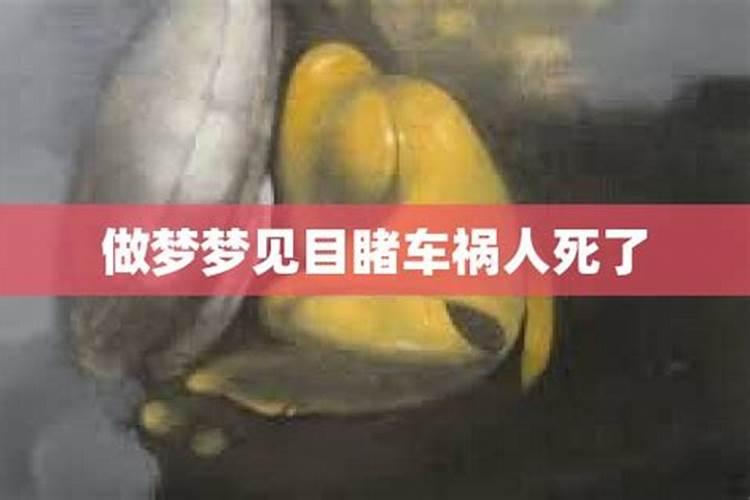 梦见车祸现场有什么预兆
