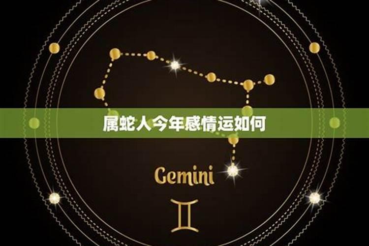 属狗男和属鼠女相配吗
