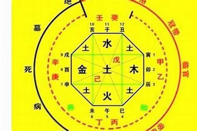 本命年虎年要注意什么？
