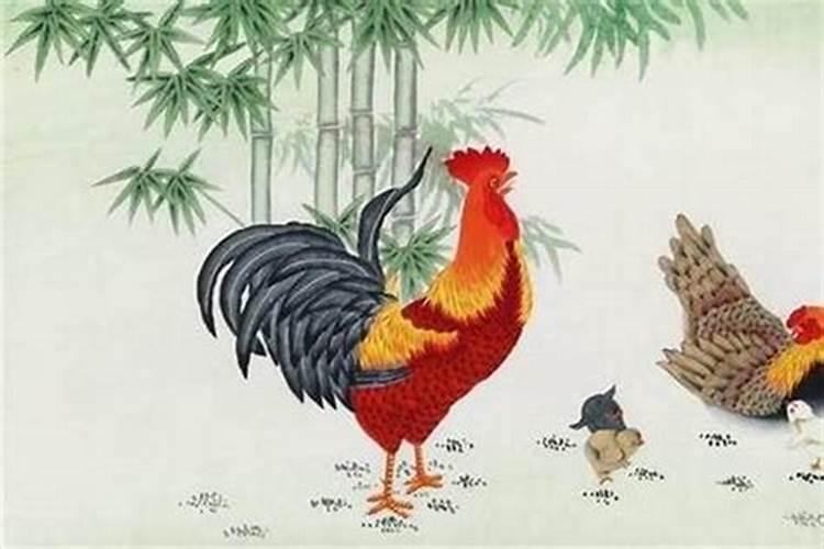 2025年69年的鸡运势