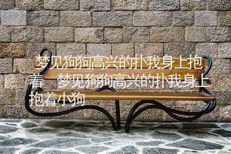梦见一只狗跟我走的预兆