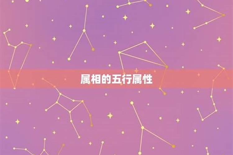 鸡虎相配的婚姻好吗