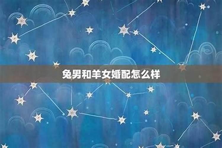李居明2025年12生肖运程