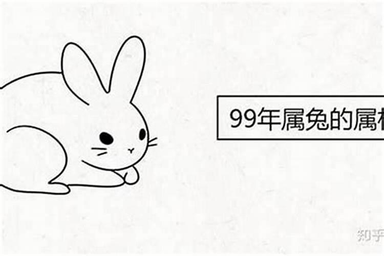 属兔的人2017年鸡年冲太岁怎么化解