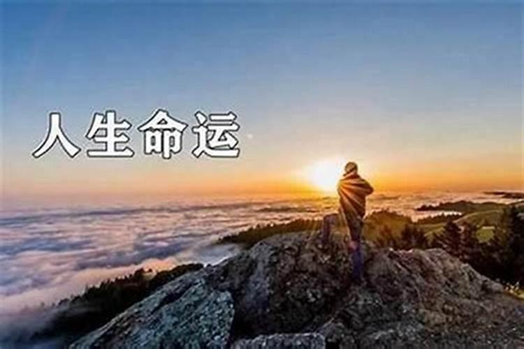 蛇和猪相配婚姻如何可以化解吗
