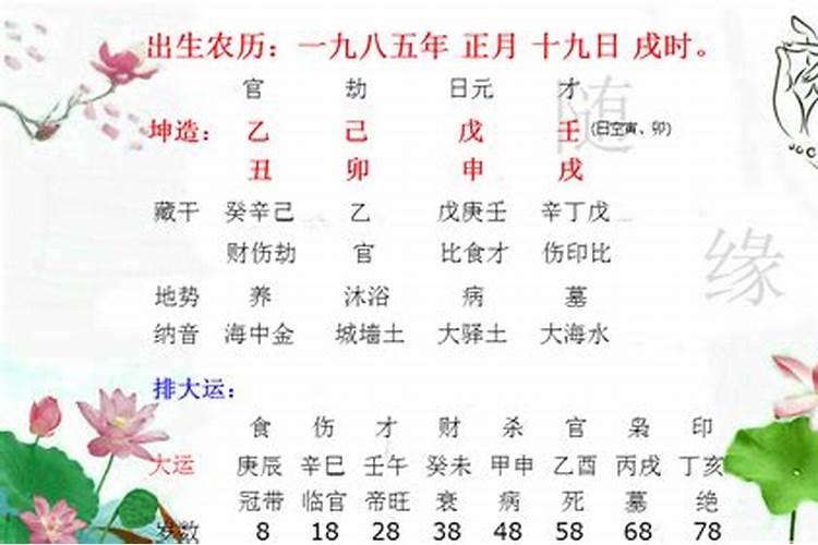 93年属鸡的是什么命2020年运势好不好