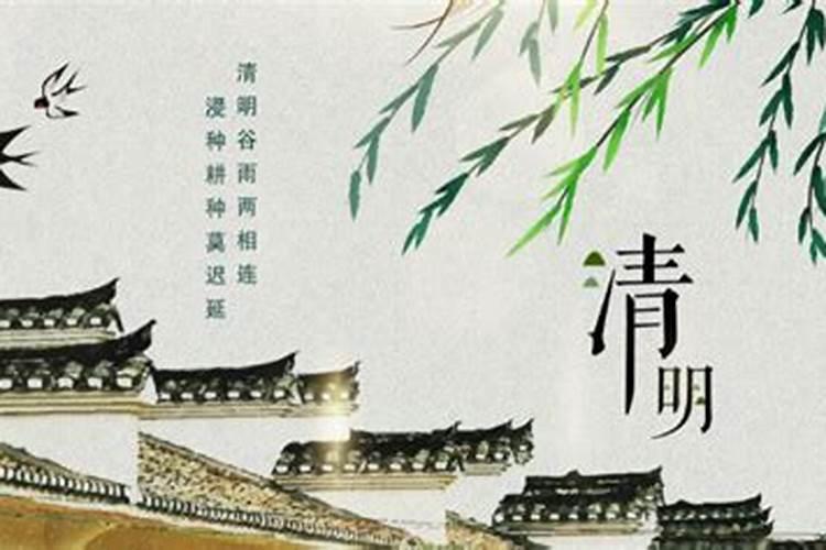 属狗女和属鼠男相配吗