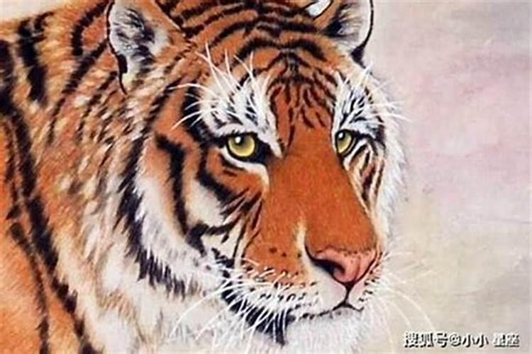 为什么超度堕胎的小孩过后。浑身疼第二天还头疼。