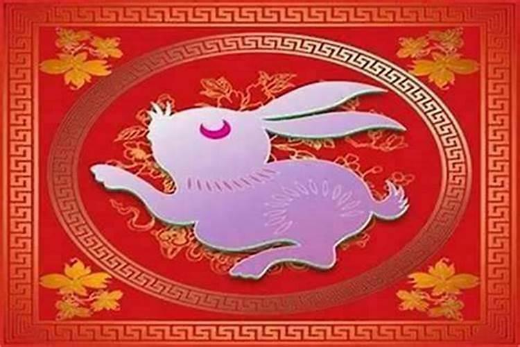 本命年的兔今年运势如何