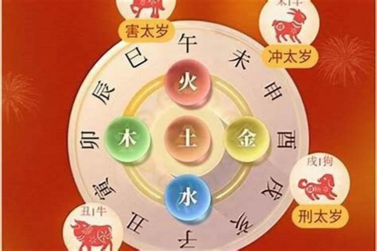 请教一下各位,“太岁”是个什么东西？是植物还是动物？真的会慢慢长大吗...