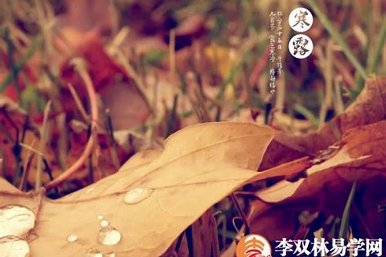 感情运势不好是什么意思,运势不佳是什么意思