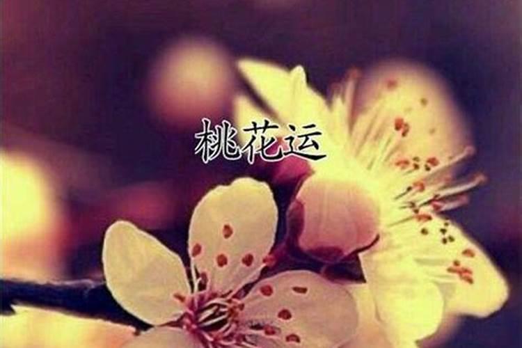 迅速斩断老公的桃花运 只需4招