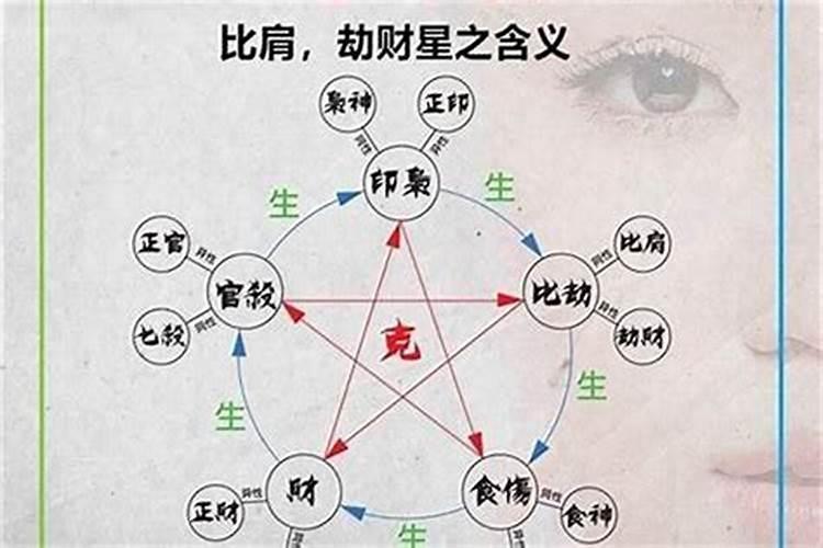 重阳节南北方差异