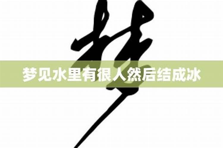 梦见在结冰的鱼塘上想破冰没破