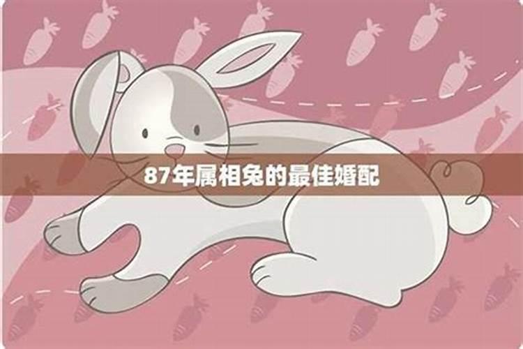 虎年本命年运势如何？本命年戴什么转运属虎