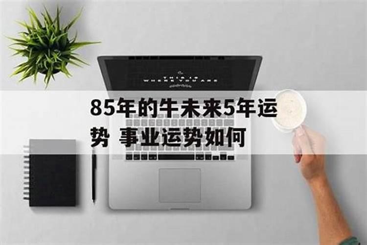 1985年属牛五行属什么命 五行为木牛之命？