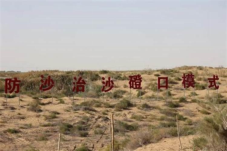 《我的家乡磴口》600字作文