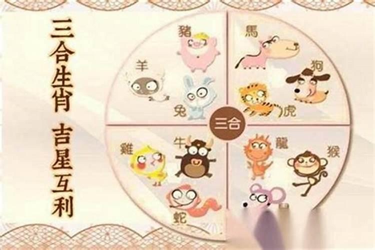测缘分:属虎男和属羊女八字合不合 算配对指数