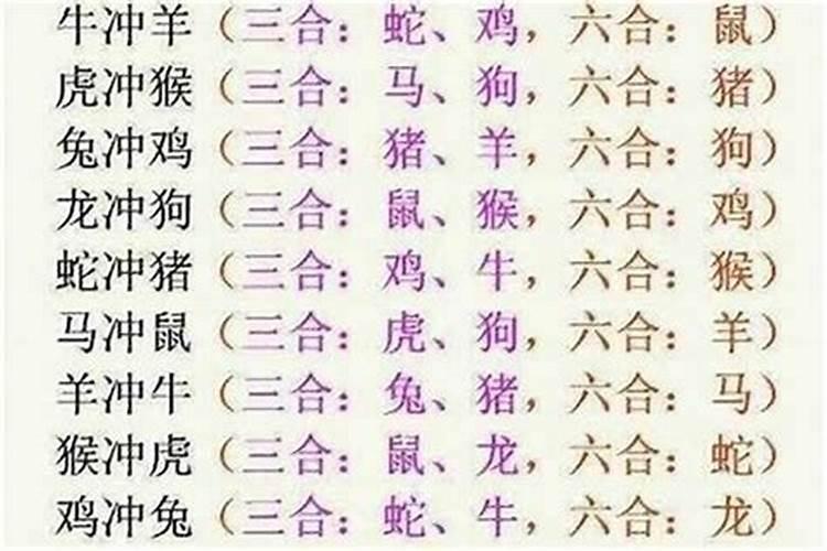 合姻缘:属马的女人与属狗男八字好吗 婚姻怎么样
