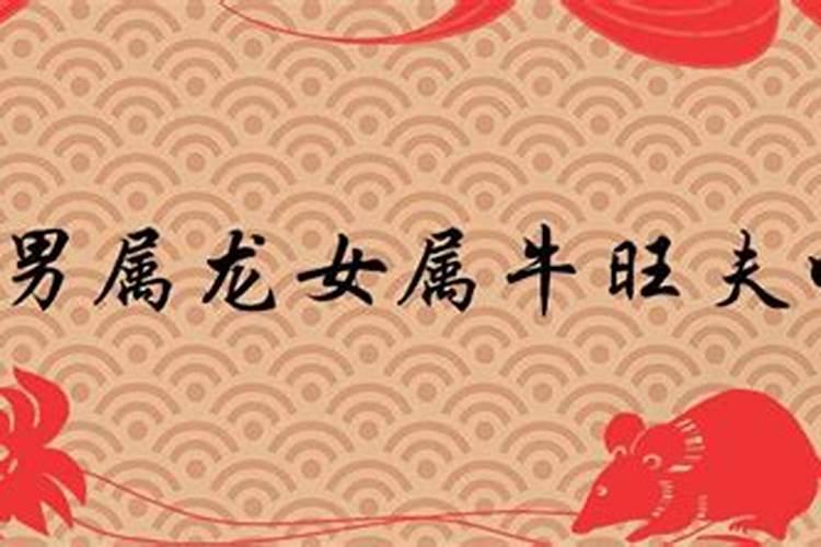 男属牛女属龙旺夫吗 合拍又合财？