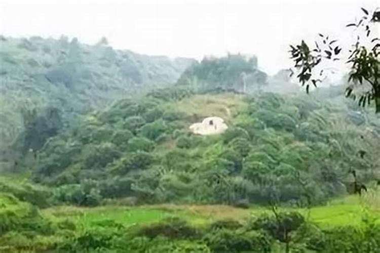看坟地记住一句口诀