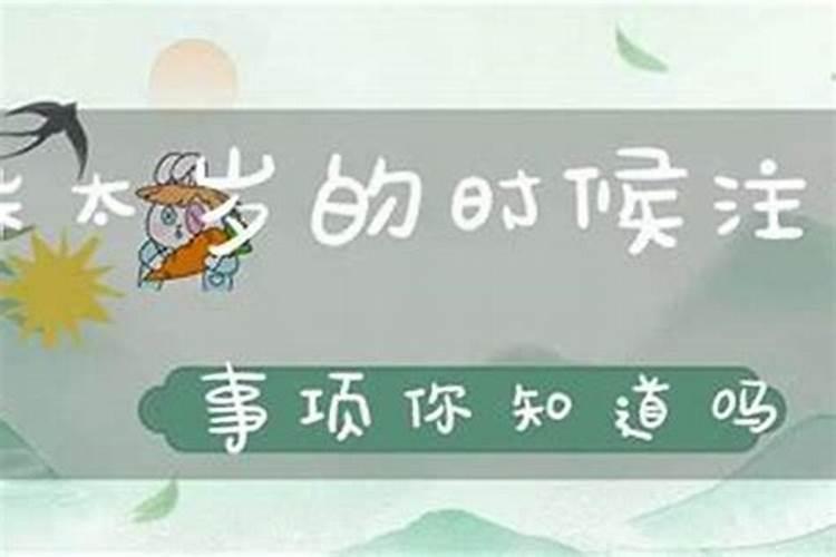 有财神节吗？哪一天？
