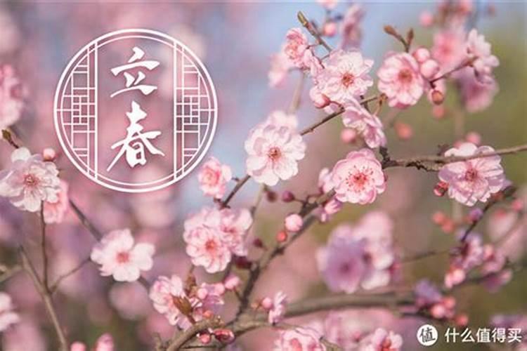 男属蛇和女属鼠合不合？