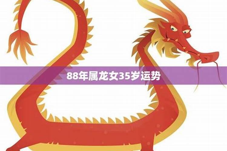 龙女2025年的运势如何