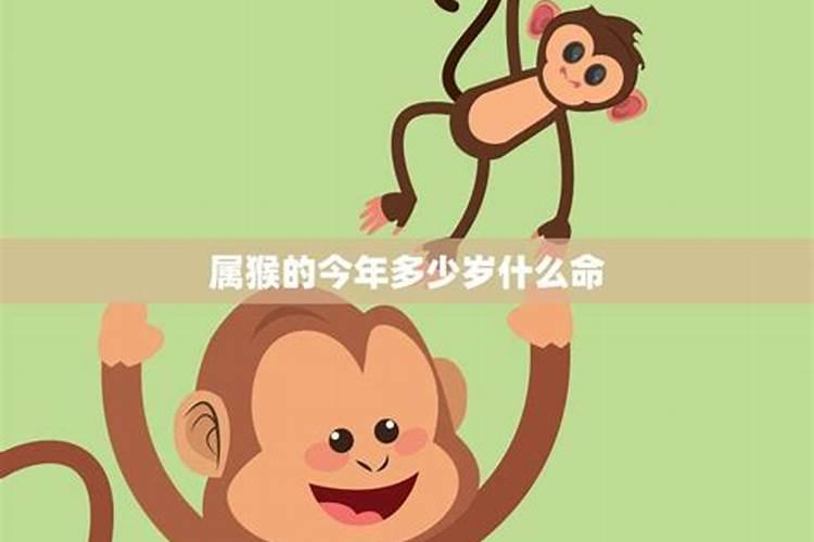 清明节文明祭祀宣传内容