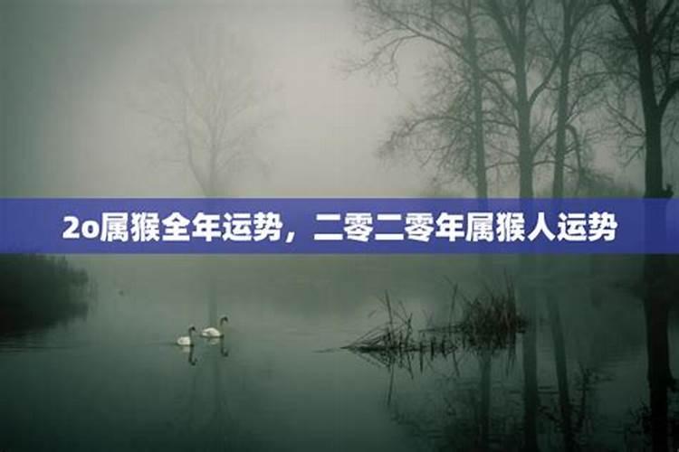 属猴的我今年65岁,一生经历了三大难,今后会怎样？