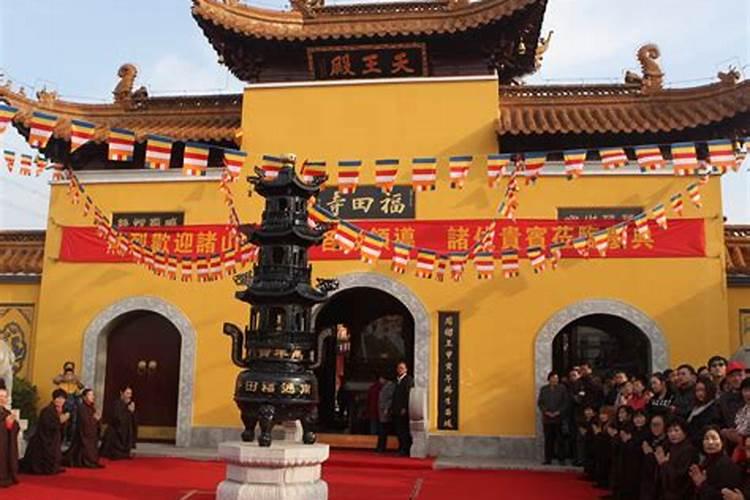 黄鼠狼是吉祥物还是凶兆？