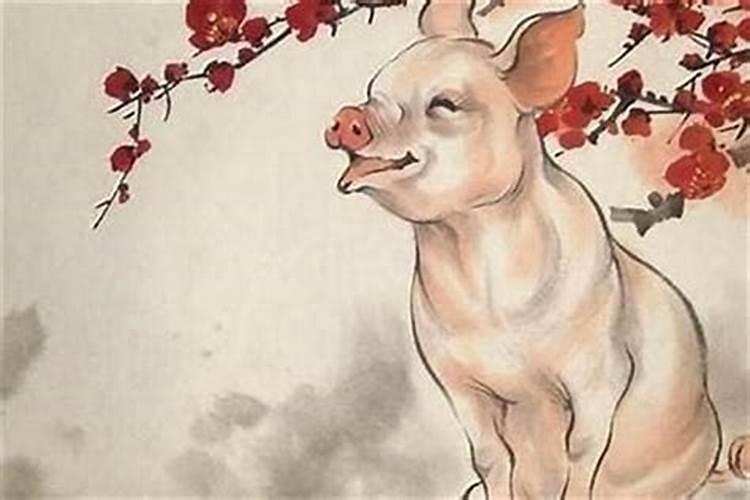 猪年犯太岁怎么办