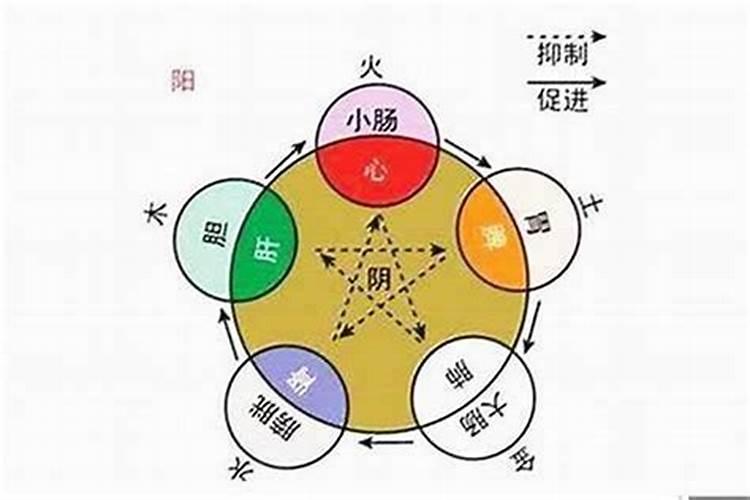 怎么看金木水火土命