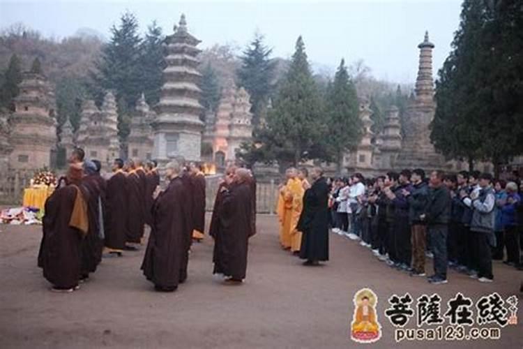 有哪个明星的生日是12月3日
