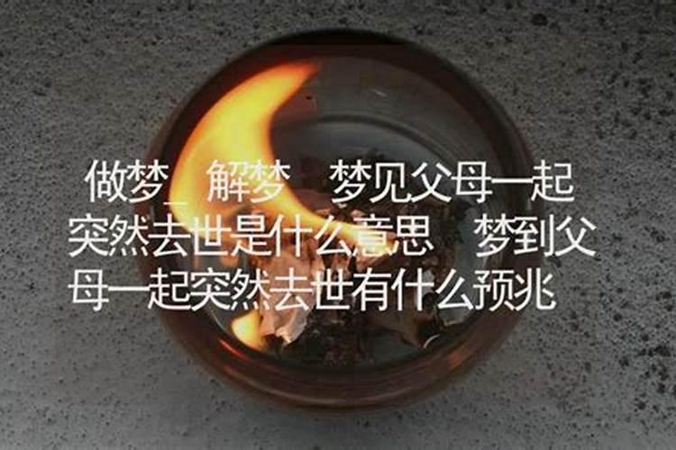 属猪2024年多大岁数了 属猪人2024年全年运势运程