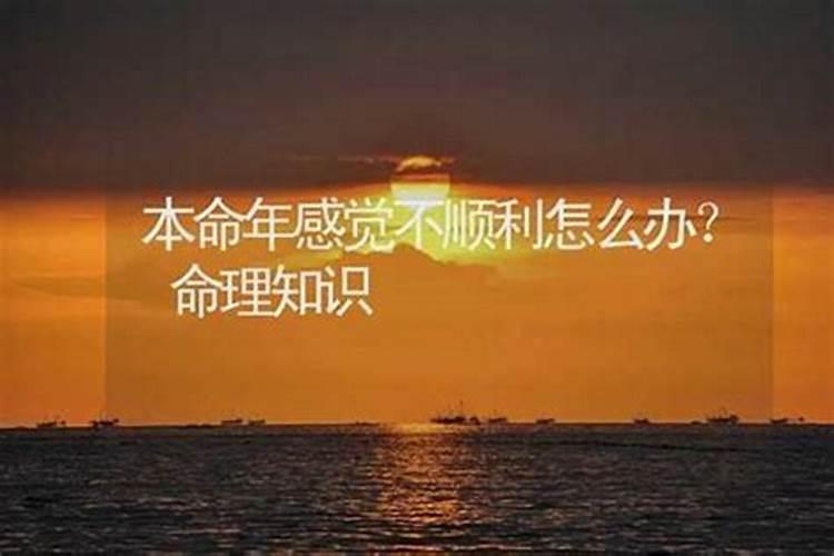 今年本命年,做生意很不顺利,开车还出车祸,有办法破解吗,怎么转运百度...