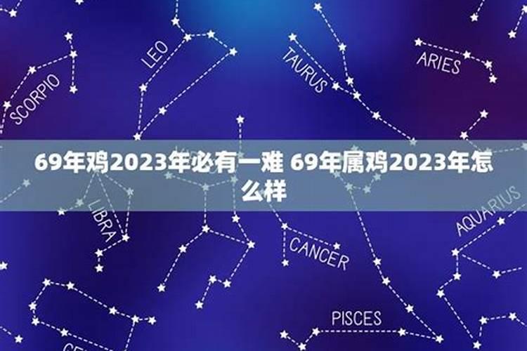 生肖鸡1969年2025年运势如何 生肖鸡1969年2025年全年运势