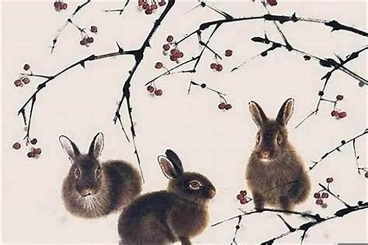 1987年农历3月15未时属兔的命运和婚姻怎么样？
