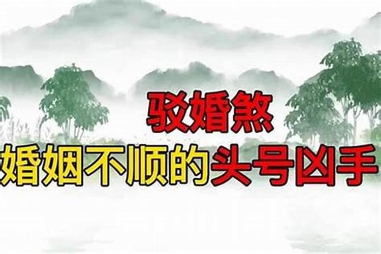 88年2025属龙的运势