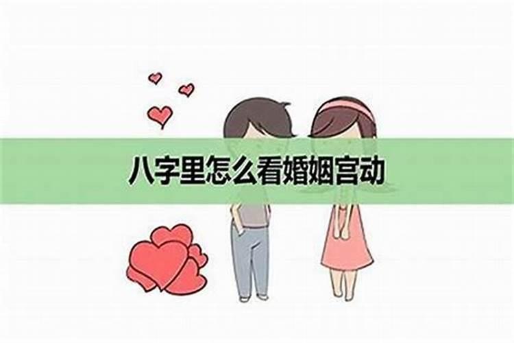 婚姻宫逢冲怎么化解 调整家居气运化解逢冲？