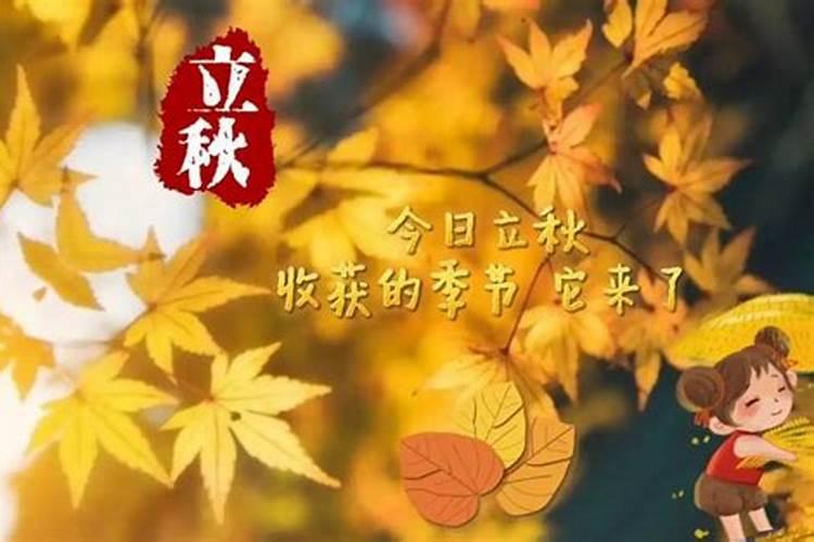 立秋是几月几号 立秋节气的含义