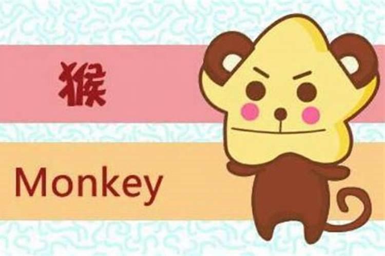 生肖猴和生肖狗相配吗？在一起财运好吗？