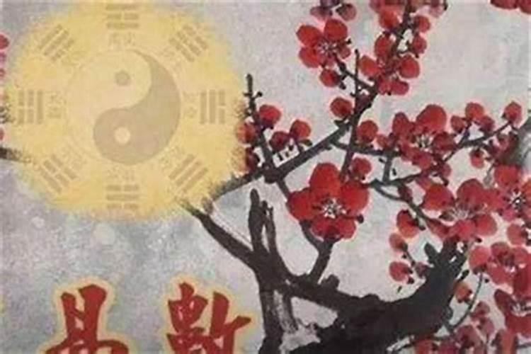 梦到哥哥复活是什么意思 梦到哥哥复活代表什么