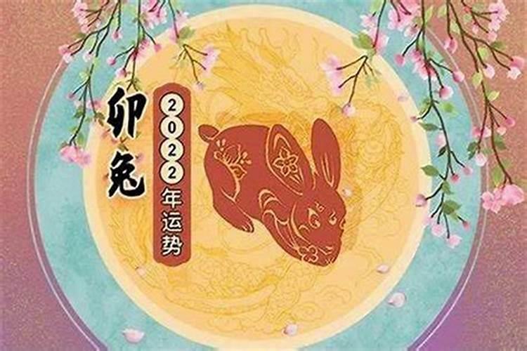 1975年兔2025年5月6月运势如何