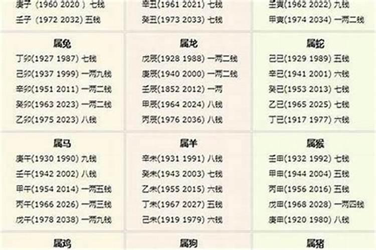 大年初一给财神供几个饺子好