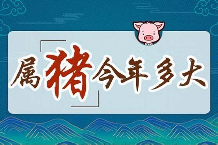 冬至扫墓鲜花用什么花
