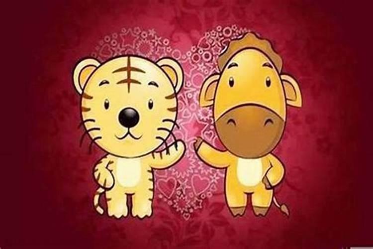 冬至扫墓送什么花