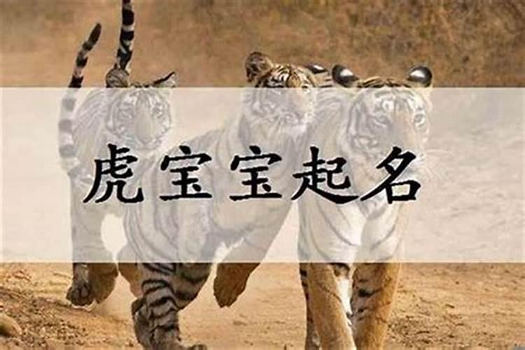扫墓时间有什么讲究禁忌 用什么花
