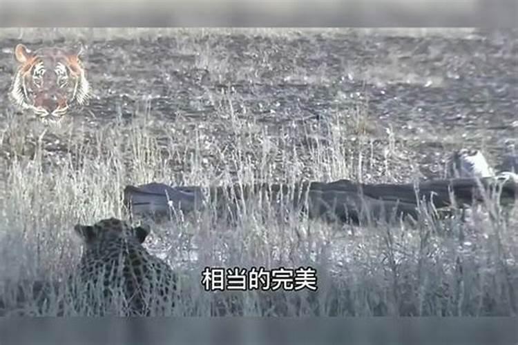 淮北风俗有哪些