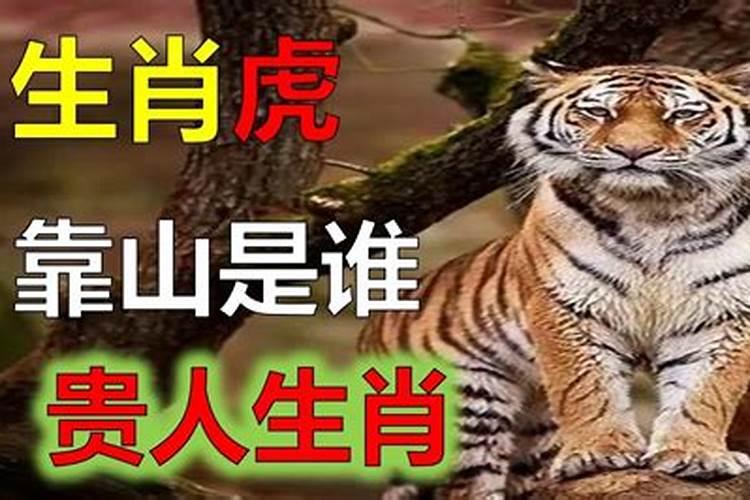 属虎人最大靠山是谁啊